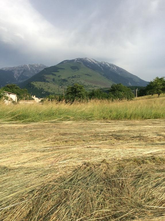 Casa Vacanza Abruzzo 卡拉马尼科泰尔梅 外观 照片